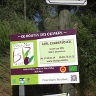 La Caillette AOP Olive de Nice de ChampSoleil Star des Podiums et Ambassadrice de la Riviera Côte d'Azur