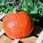 La Tarte au Potimarron et aux Noisettes Nice RendezVous Cuisine